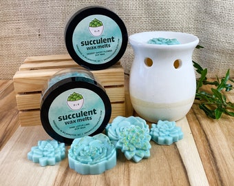 Succulent Wax Melts Set - 6 Cactus Wax Melts in a Jar