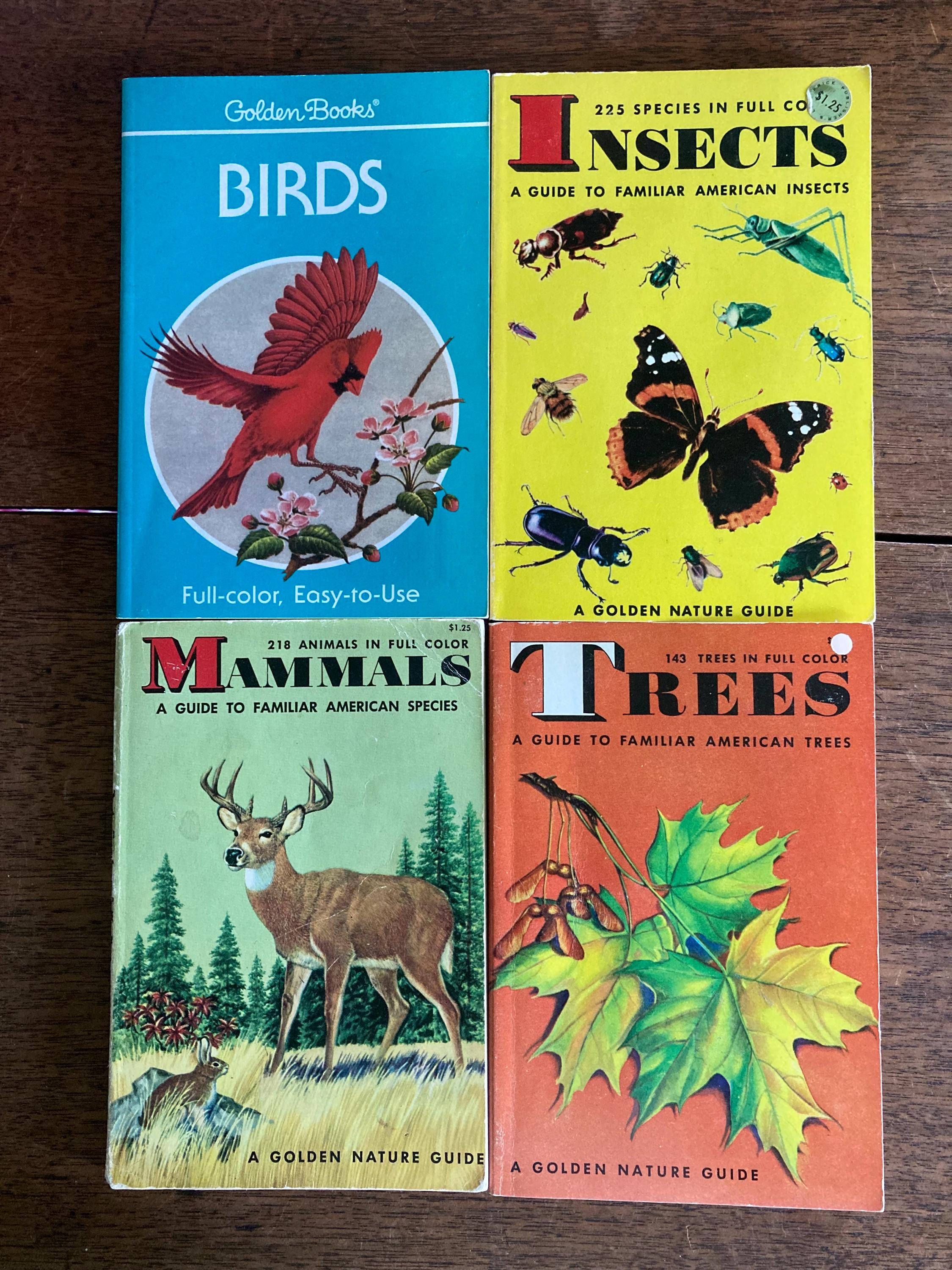 Vintage Golden Guides - Pocket Book Birds 1987 Insects 1956