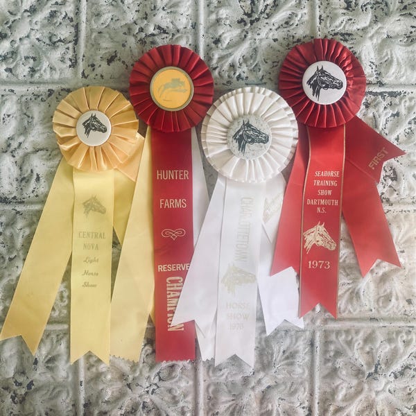 Vintage Horse Show Ribbons #41 Set of 4 Equestrian Awards 1960s - 1990s US & Canada Red White Yellow Gold Seahorse Dartmouth NS Central NOVA