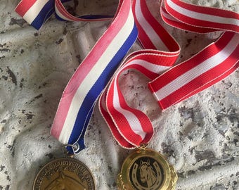 Vintage Horse Show Medallions 1970s American Hanoverian Society Horse of the Year HDHS 1979 Robinswood Farm Choice