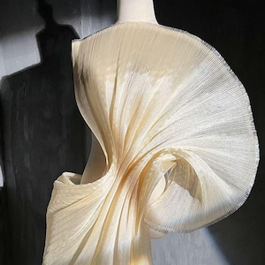 Peut inclure: Un vêtement en tissu plissé de couleur crème exposé sur un mannequin. Le design présente une grande structure en forme d'éventail s'étendant de l'épaule, créant une silhouette dramatique. Le tissu a un éclat subtil et les plis ajoutent de la texture.