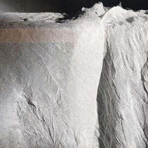 May include: Abstract grayscale image featuring textured, layered forms. The image has a monochromatic palette with a range of light and dark tones, creating a sense of depth and dimension. The surface appears to be rippled or folded.