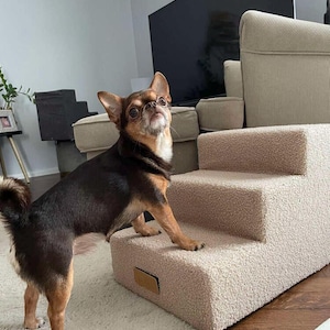 Op de afbeelding: Een kleine, bruin-zwarte Chihuahua staat naast een beige huisdierentrap. De trap met drie treden is gemaakt van een zachte, getextureerde stof. De hond kijkt omhoog, met zijn voorpoten op de eerste trede.