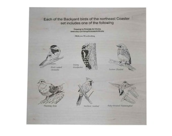 Backyard birds of the northeast coasters - birds - feather friends