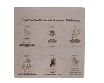 Tree Trivia Coasters - Coasters - Trees along the east coast