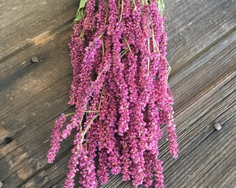 Tansy Etsy