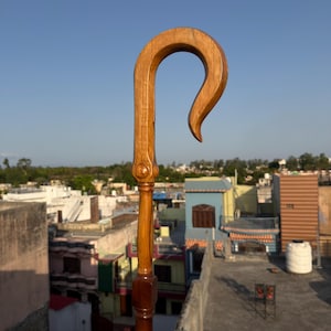 May include: A wooden walking cane with a curved handle. The cane is made of light brown wood with a darker brown section near the bottom. The handle has a hook shape. The background shows a cityscape and a blue sky.