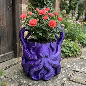 Maceta con forma de pulpo: Maceta decorativa para plantas de interior, maceta grande para flores.