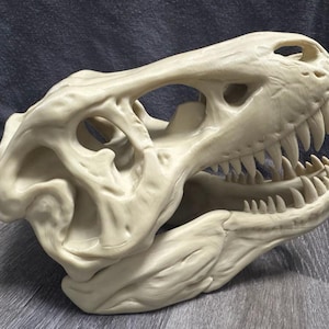 Large 3D Printed T-Rex Skull