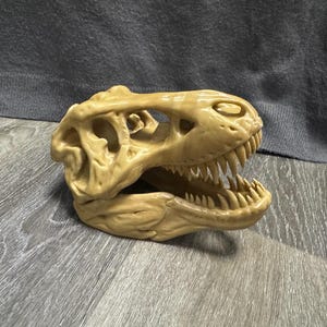 Small 3D Printed T-Rex Skull