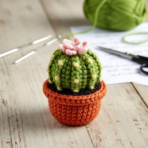 Cactus Amigurumi Crochet Pattern, Barrel Cactus Pot Crochet, Amigurumi Pot Plant Succulent DIY, Cute Baby Playing Amigurumi Plant, Easy PDF