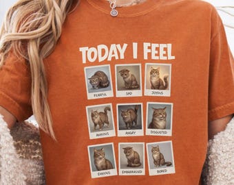 Funny Cat Shirt Today I Feel Emotion Chart Tee Mental Health Shirt Comfort Colors Cat Lover Gift Therapist Shirt School Counselor Present