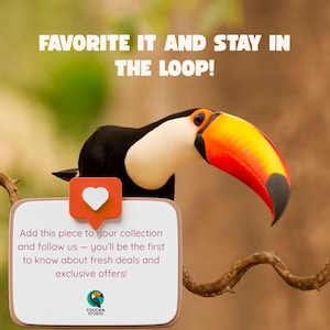 K&ouml;nnte beinhalten: Ein Tukan mit einem gro&szlig;en orange-gelben Schnabel sitzt auf einem Ast. Das Bild enth&auml;lt den Text "FAVORITE IT AND STAY IN THE LOOP!" und einen Aufruf, den Artikel f&uuml;r exklusive Angebote zu Ihrer Sammlung hinzuzuf&uuml;gen.