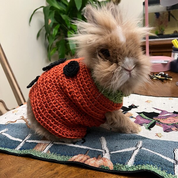 Pet Rabbit Clothing Etsy