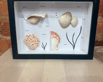 Sea life : 5 1/2” by 7 1/2” Shadowbox