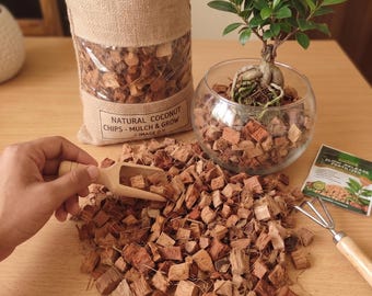 Natuurlijke kokosnootchips voor mulchen en groeien | Milieuvriendelijke plantenbak, alternatief voor starters