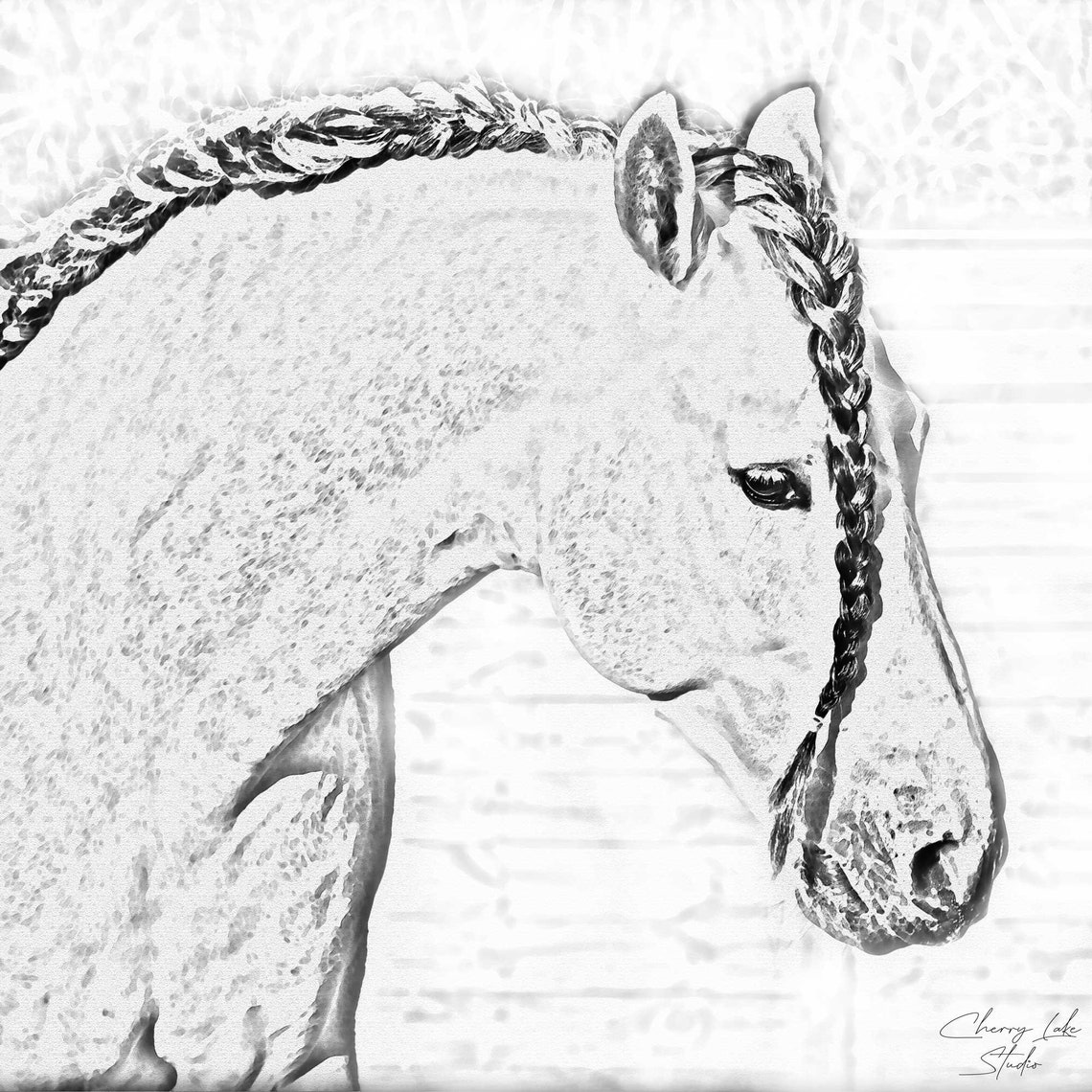Downloadable Horse Sketch Art Print Horse with Braided Mane Etsy