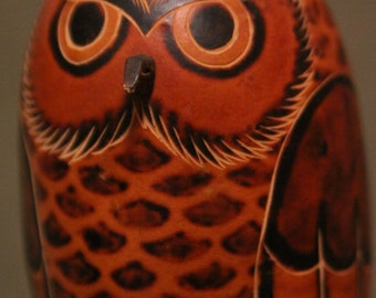 Gord Owl from Peru