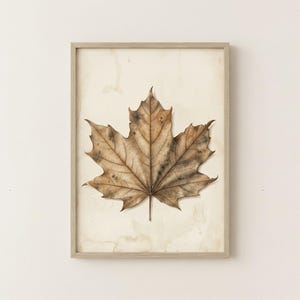 Lámina vintage con estampado de hoja de arce, arte botánico para pared, póster en color beige neutro, descarga digital.