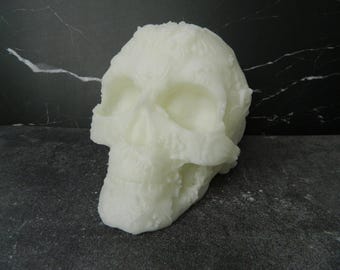 Gothic Schädel Wohn Dekor: Fates End Gaming Dekor