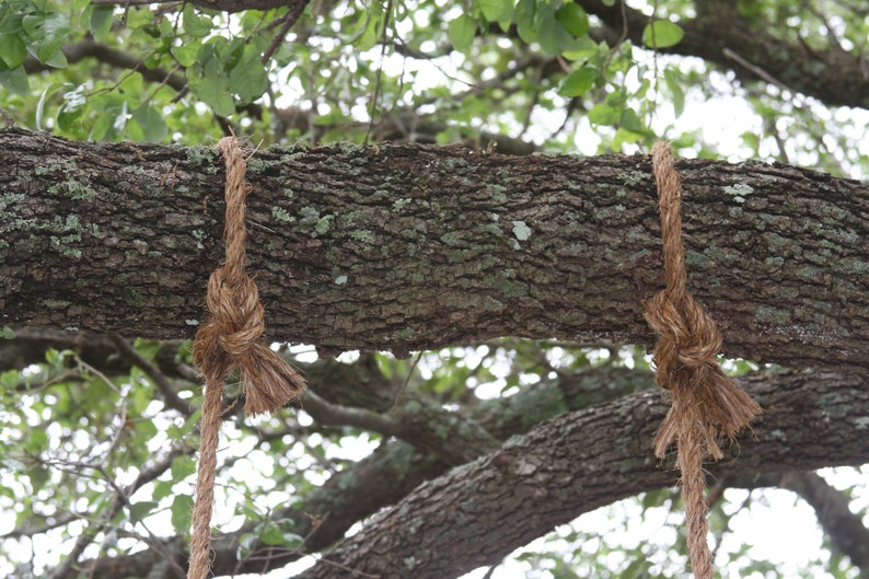 Two Person Wooden Tree Swing Triple Rope