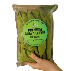 1000 Guava Leaves, Fresh Green Dried, Psidium Guajava Leaf, Best Natural Herbal Guava Tea, 100% Organic