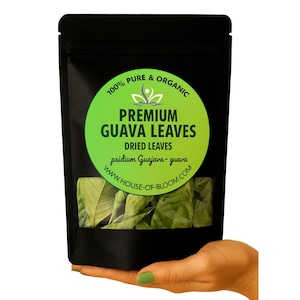 1000 Guava Leaves, Fresh Green Dried, Psidium Guajava Leaf, Best Natural Herbal Guava Tea, 100% Organic