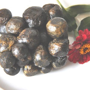 Può includere: Un gruppo di oggetti scuri e rotondi con una superficie lucida e strutturata, forse cibo, è disposto su un piatto bianco. Un fiore rosso vivo con un centro giallo e foglie verdi aggiunge un tocco di colore alla composizione.