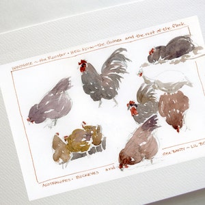 Backyard Chickens - Card