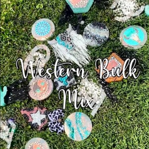 Wholesale Western Mix Freshies | Gift For Her | Car Freshies | Air Freshener | Bulk | Smell Goods | Gifts