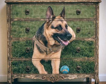 Cómoda personalizada para retratos de mascotas: muebles artísticos funcionales hechos a mano