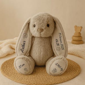 Peut inclure: Une peluche lapin gris clair avec de longues oreilles tombantes. Les oreilles et les pieds sont brodés avec des détails, dont le nom "Arthur", des mesures de 51 cm et un poids de 3,760 kg. Le lapin est posé sur un tapis tressé.