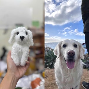 Custom Life Like Dog Plushie Clone, Look Alike Doll, Cute Furry Collectible Toy, Memorial Stuffed Animals, Dog Replica, Amigurumi Gift