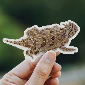 Horned Lizard Sticker Waterproof Desert Wildlife Reptile Horny Toad Texas Animals