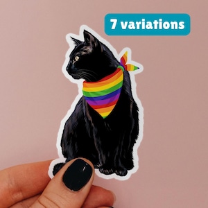 May include: A sticker featuring a black cat wearing a rainbow-colored bandana. The cat is sitting and looking to the left. The sticker has a white border and the text "7 variations" in a blue rectangle.