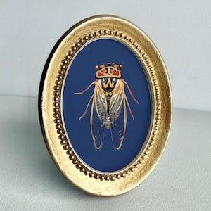 May include: Oval gold-colored frame with a beaded edge, showcasing a cicada illustration. The insect is depicted with orange, yellow, and black details against a deep blue background. The artwork is framed and ready to display.