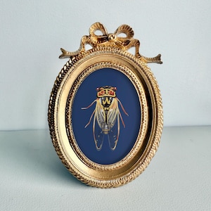 May include: A gold-colored oval picture frame with a bow at the top. Inside the frame is a blue background with a detailed illustration of a cicada. The cicada has a yellow and red head and transparent wings.