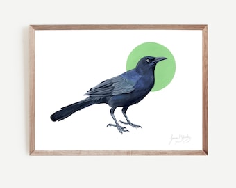 Great Tailed Grackle Bird Art Print | Illustration Vintage Inspired Wall Art | Nature Wildlife Animal | Gouache Painting | Austin Texas ATX