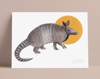 Armadillo Art Print Realistic Illustration Texas Themed Desert Wildlife