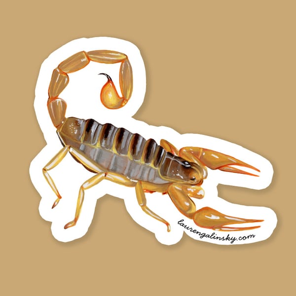 Scorpion Sticker Insect Arachnid Scorpio Desert Dweller Creepy Crawlies Wildlife Lover