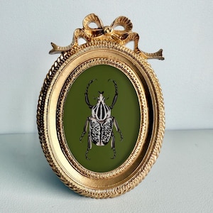 May include: An oval, gold-colored picture frame with a bow at the top. The frame holds an image of a beetle on a green background. The beetle is black and white with a detailed pattern. The frame has a rope-like border.