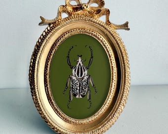 May include: An oval, gold-colored picture frame with a bow at the top. The frame holds an image of a beetle on a green background. The beetle is black and white with a detailed pattern. The frame has a rope-like border.