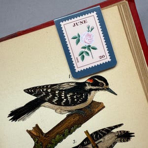 May include: A bookmark with a postage stamp design featuring a pink rose, the word "JUNE", and the number "20". The bookmark is placed on a vintage book with illustrations of woodpeckers.