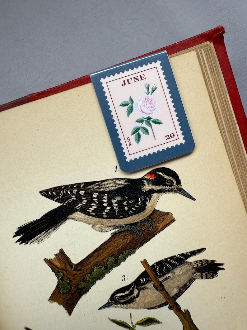 May include: A bookmark with a postage stamp design featuring a pink rose, the word "JUNE", and the number "20". The bookmark is placed on a vintage book with illustrations of woodpeckers.