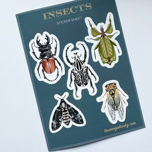 Insect Beetle Sticker Sheet Moth Cicada Water Resistant Stickers Bugs Goth Stickers Witchy