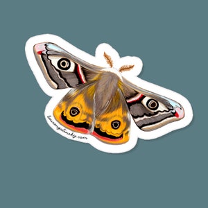 Emperor Moth Sticker Painting Artwork Insect Gift Butterfly Theme