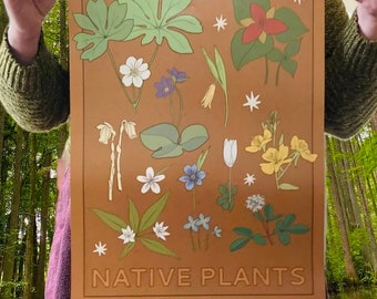 Native Plants Poster 12"x18"