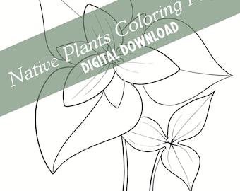 DIGITAL DOWNLOAD Native Plants Coloring Pages