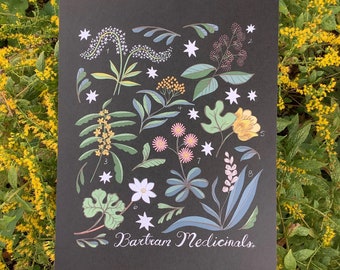 Bartram's Gardens Medicinal Plants 8x10 botanical folk print (in collaboration with Bartrams Garden)