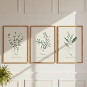 May include: Three framed botanical prints featuring watercolor illustrations of herbs. The prints showcase thyme, rosemary, and sage, each labeled with their common and scientific names. The frames are a light wood color, and the background is a neutral cream.